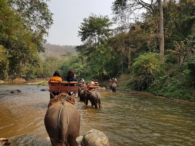 Maetaman Elephant Camp & Bamboo Rafting