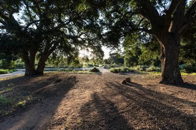 Chatsworth Park South