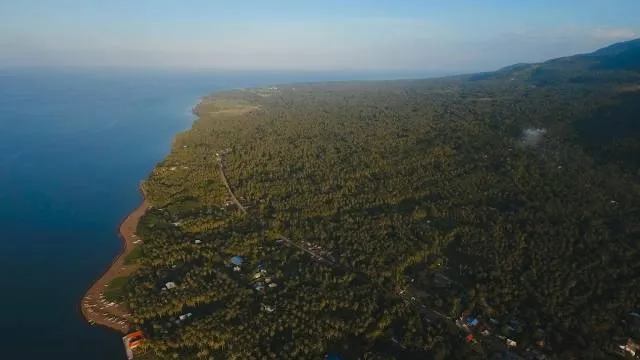 photo-1