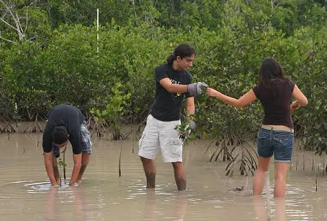 R Hardy Matheson County Preserve