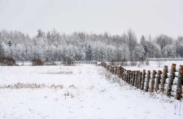 Volksdorfer Teichwiesen Nature Reserve