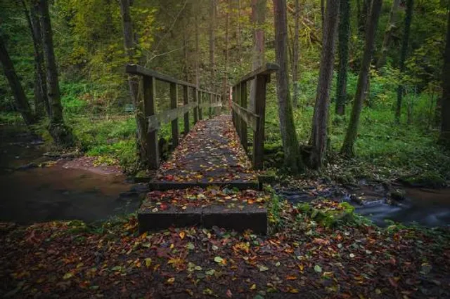 Natur- und Erlebnispfad Perlbachtal