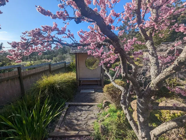 Ren Brown Collection