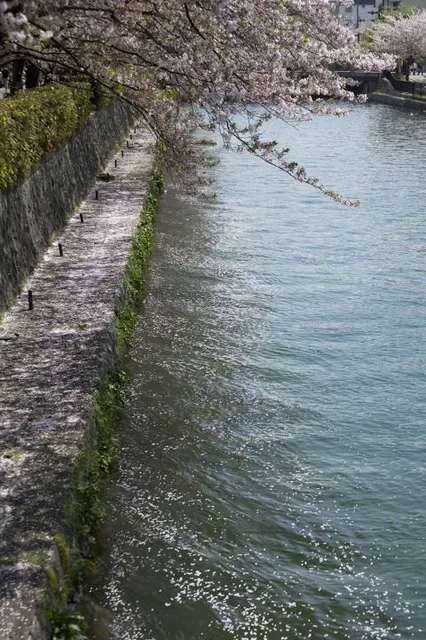 Razlog Historical Museum