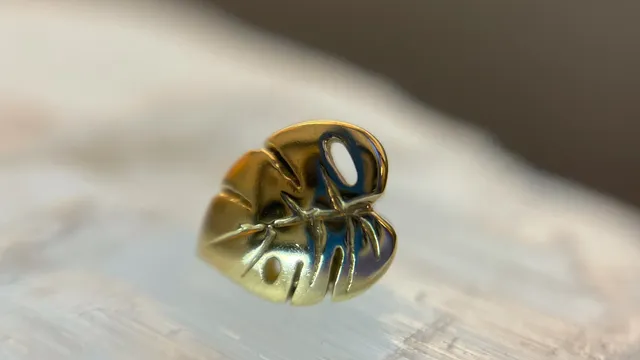 Piercings by Paige at Big Guns Tattoo