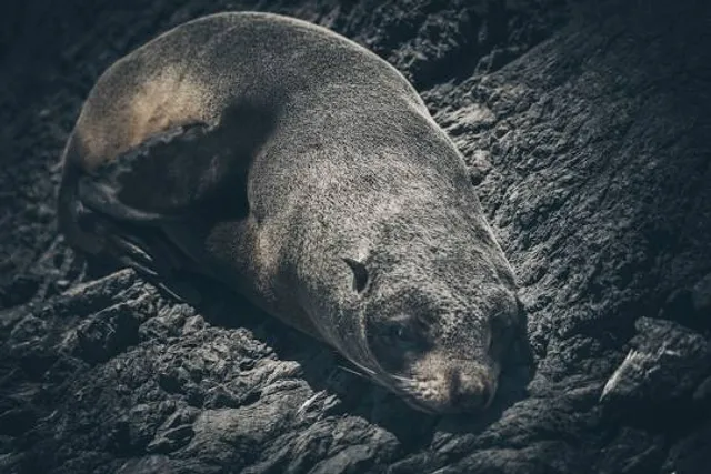 Canding/Kanding Falls Mangatarem Pangasinan