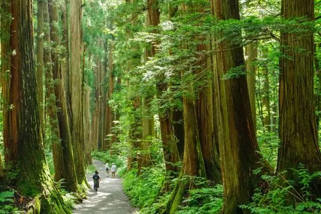 Upper Togakushi Shrine