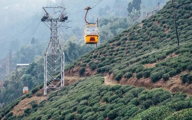 Darjeeling Rangeet Valley Passenger Ropeway