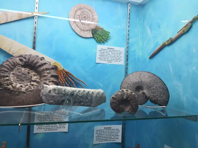 Sanford Museum & Planetarium