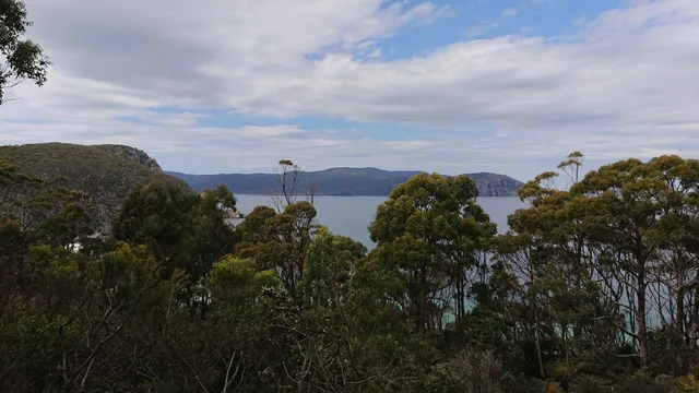 Mabel Bay Lookout