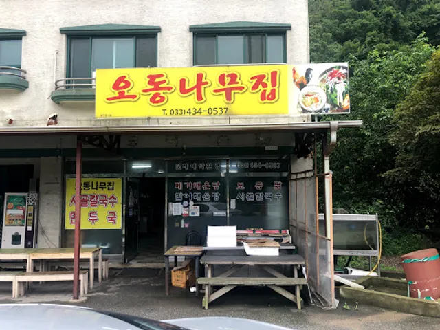 오동나무집 칼국수