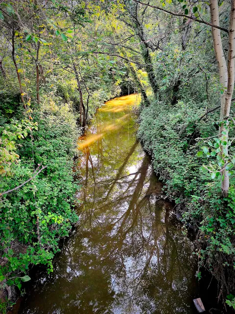 Isla Del Colegio Park