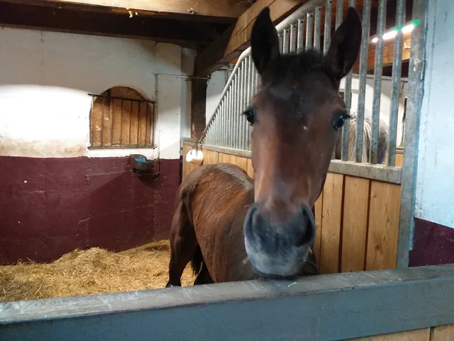 Henntalhof Kitzbühel