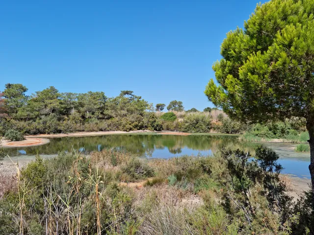 Parque Natural da Ria Formosa