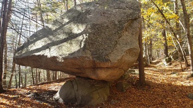 Orris Falls Conservation Area
