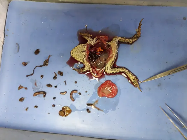 Museo de Zoología UPRRP