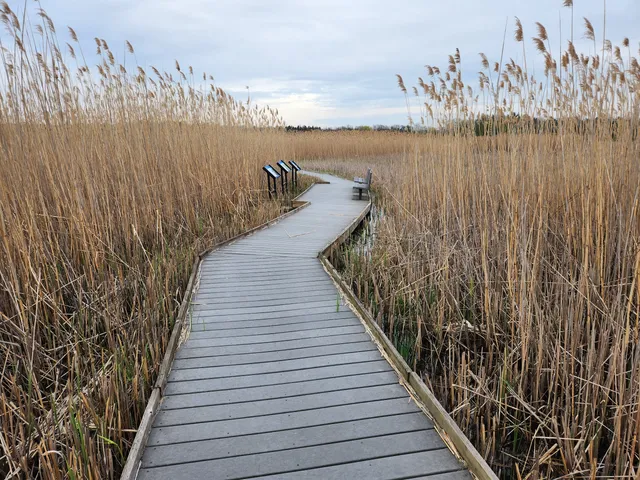 Marsh Boardwalk Trail