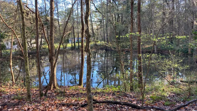Spring House - Frank Lloyd Wright