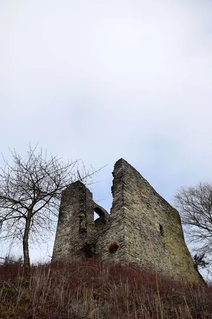 Haller-Ruine