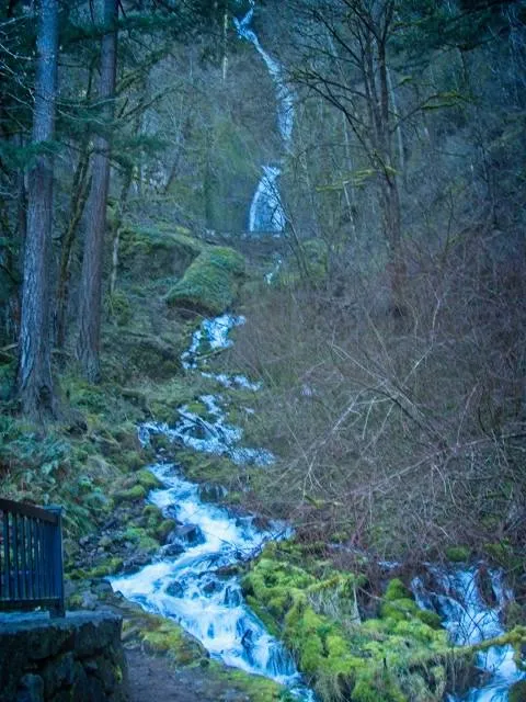 Wahkeena Nature Preserve