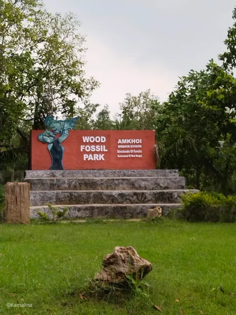 Amkhoi Wood Fossil park