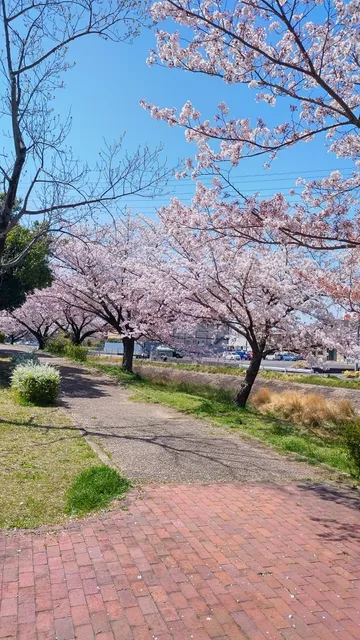 Shimoichiba Park
