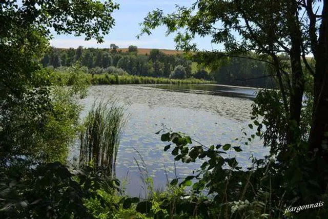 Etang de Bairon