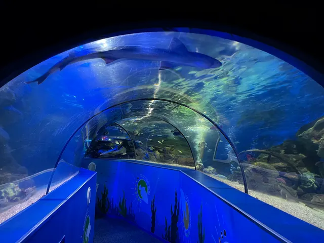 SEA LIFE Scarborough