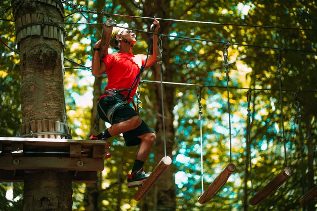 Footprints in the Park