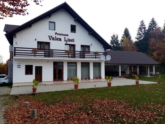 Pensiunea Valea Lisei