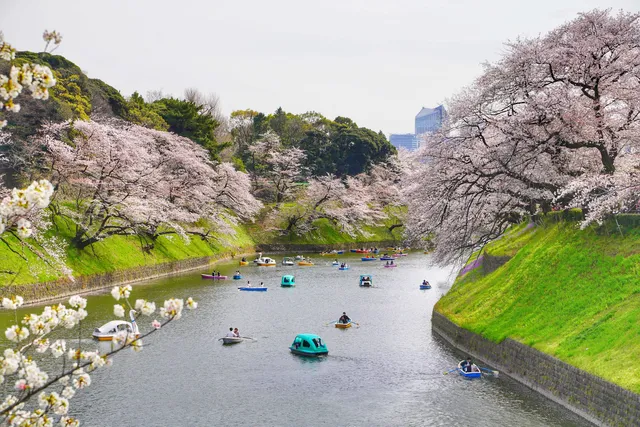 Chidorigafuchi Moat
