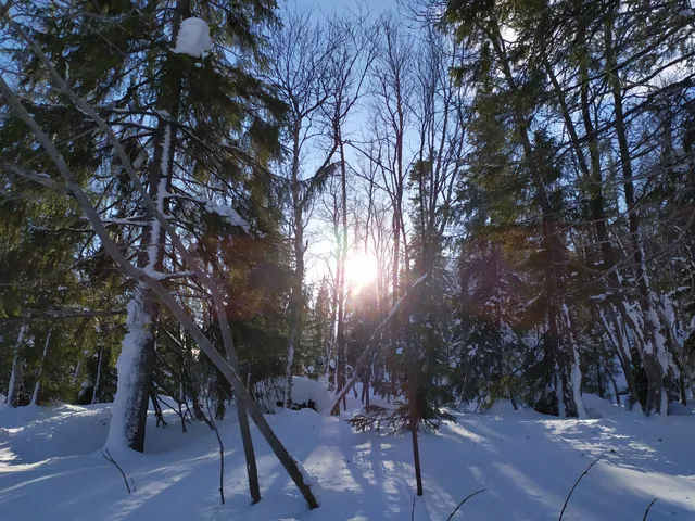 Polyarno-Al'piyskiy Botanicheskiy Sad Gu