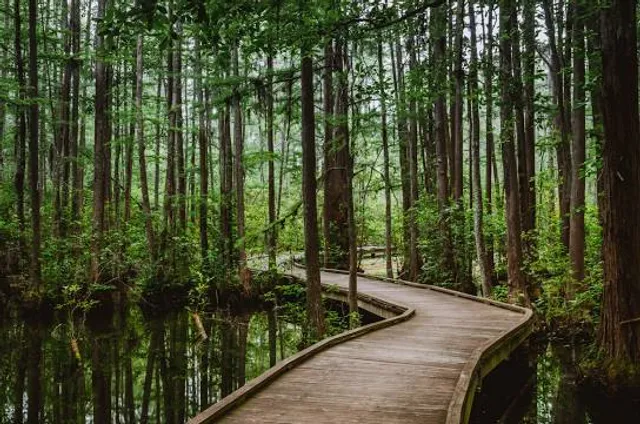 Woods Bay State Park