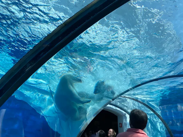 Arctic Ring of Life - Polar Bear & Sea Otter