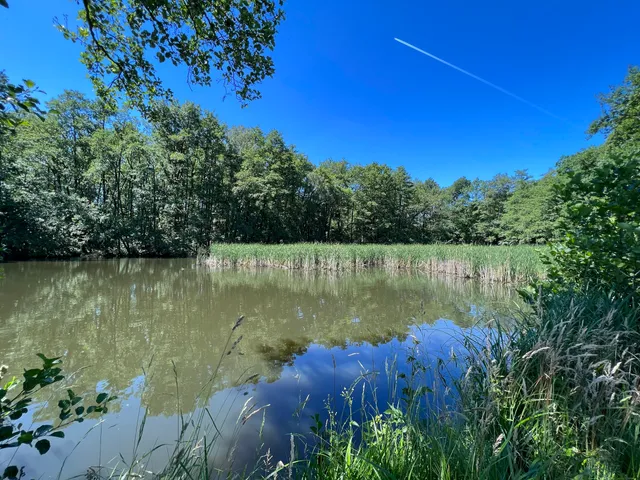 mittlerer Schwanenweiher