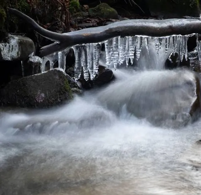 Ecopark Halle-Hunneberg