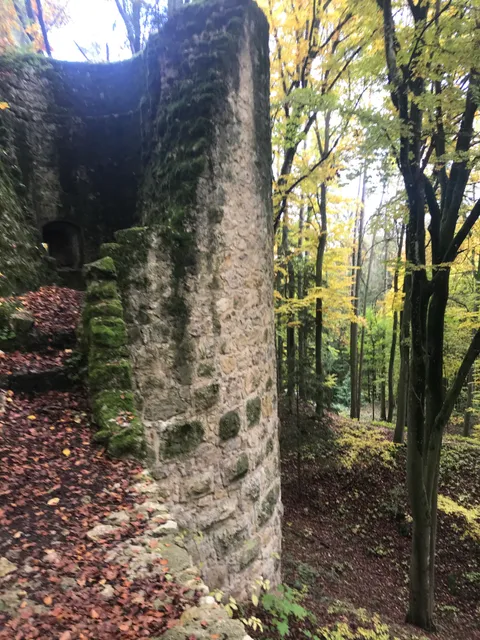 Ruine der Burg Ehrenfels
