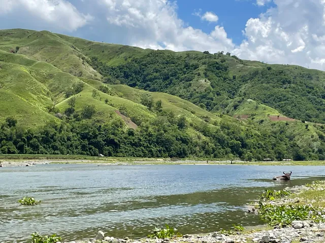 Calabasa Picnic River