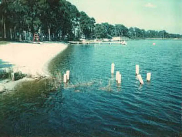 Lake Cannon
