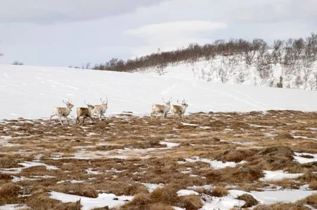 Brooklyn Wildlife Area