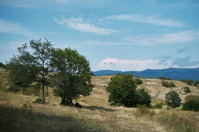 Algeti's National Park
