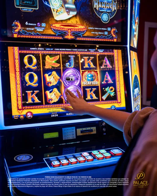 Palace Bingo & Sport Bets Casino Insurgentes