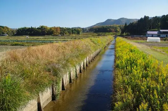 Kusaka river Flood basin