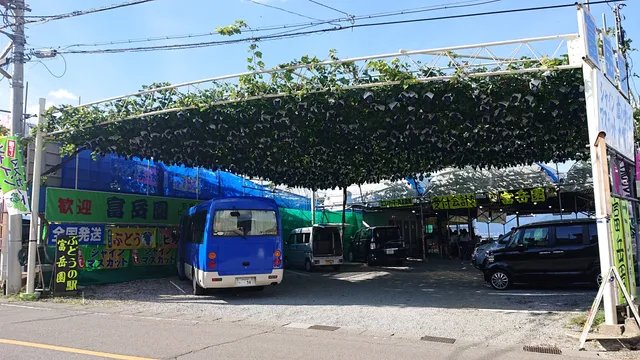 photo-3