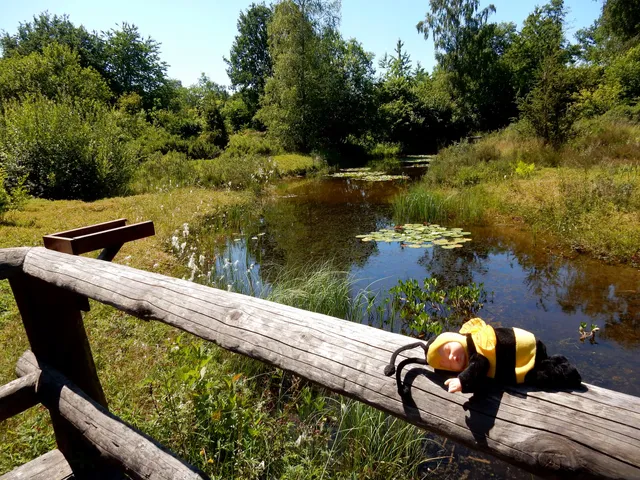 Stichting Vrienden van de Heemtuin Rucphen