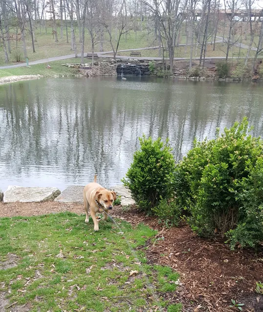 Sunset Hills Parks & Rec