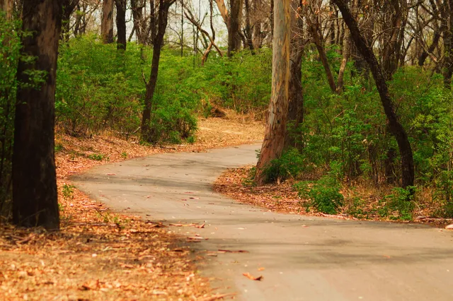 Jhajjar Bachauli Wildlife Sanctuary