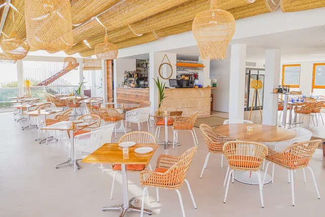 Beewi Puerto Portals