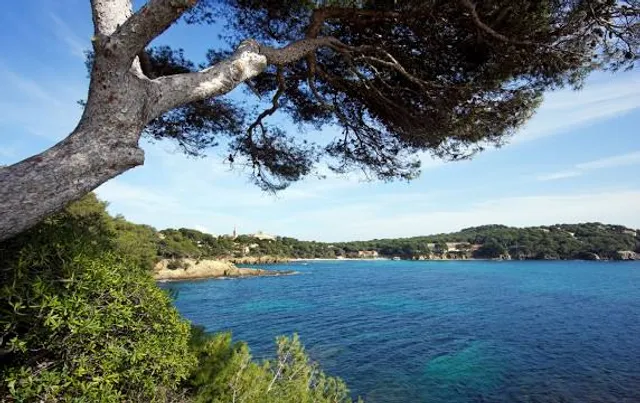 Giens Peninsula