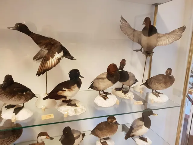 Villa Pertusati - Museo di Storia Naturale